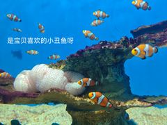 -福州罗源湾海洋世界旅游区