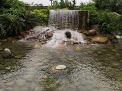 -成飞公园