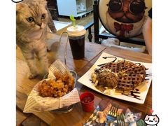 -李小姐の猫咖啡馆(五角场店)