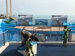 -香港海洋公园