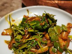 香菜猪耳-三人行骨头王火锅(长寿店)