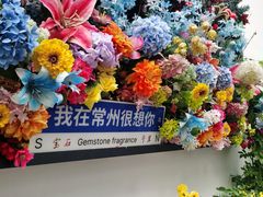 -青果巷历史文化街区