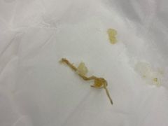 -白玉兰食品(中山公园龙之梦店)