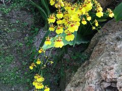 -南通洲际绿博园