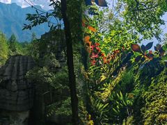 -梭布垭石林景区