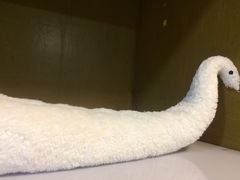 -庐山天沐温泉度假村