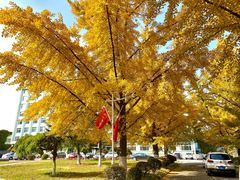 -辽东学院(南校区)