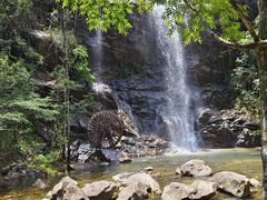 -九龙江国家森林公园