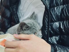 -1013 PET SHOP 宠物商店(近铁城市广场店)
