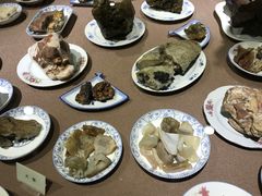 -陕西自然博物馆