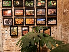 -GOTLOT COFFEE&KITCHEN角落厨房NOOK店
