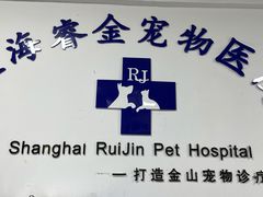 -睿金宠物医院·CT·肿瘤·骨外科