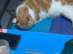 -臻鲜燕海鲜融合餐厅(金陵style店)