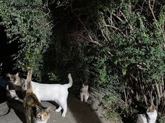 -华山风景名胜区