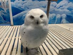 -成都浩海立方海洋公园