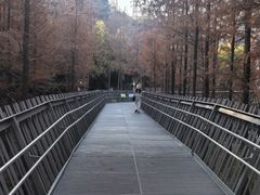 -福道