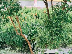 -前小桔亲子创意农场·草莓采摘·露营烧烤