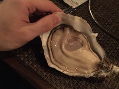 -斯普汇生蚝牛排馆(中骏世界城店)