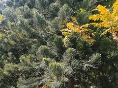 -草庵摩尼教遗址公园