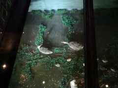 -上海崧泽遗址博物馆