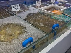 -小海丁