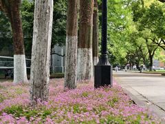 -苏州大学(天赐庄校区)
