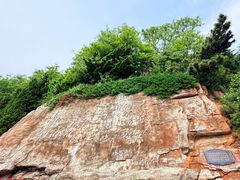 -棒棰岛宾馆景区