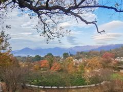 -塔川景区