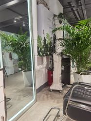 -Will+ Hair Studio