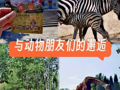 -大连森林动物园