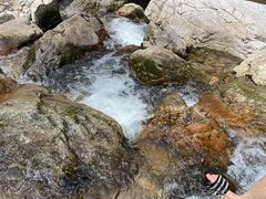 -龙湾潭国家森林公园