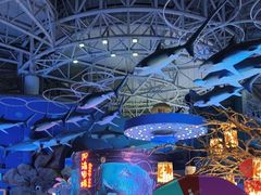 -烟台海昌鲸鲨海洋公园