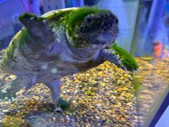 -三旗百汇商品城