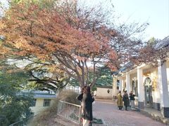 -西安市纺织公园