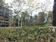 -景田北六街公园宠物主题园