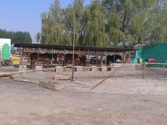 -丁香湖丁香小镇Citypark滑雪公园戏雪嘉年华