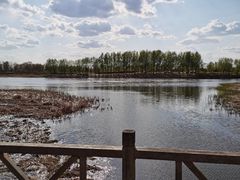-蒲河岛湿地公园