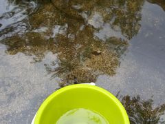 -碓臼峪自然风景区