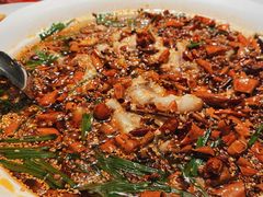 -一品红川菜(皇岗店)