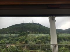 -龙岩东方凯悦商务酒店(国际美食城店)