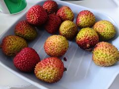 -百果园(奕淳公寓店)