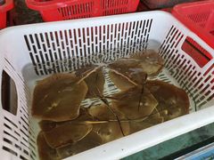 -沙头涌渔栏海鲜餐厅