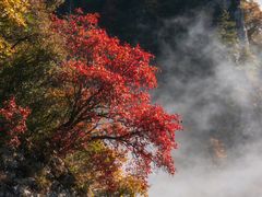 -塔云山