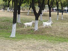 -杭州师范大学(下沙校区)