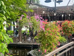 -河内西湖莲花自助餐厅