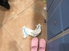 -青岛东方影都融创水世界