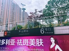 -尹山湖(地铁站)