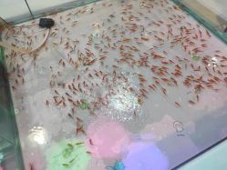 -万升儿童王国(万辉店)