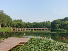 -西溪国家湿地公园