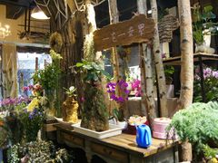 -溪岸路花鸟市场